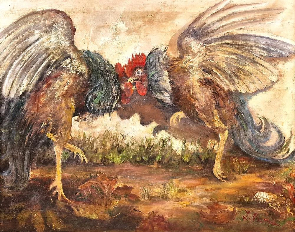 Combattimento di galli